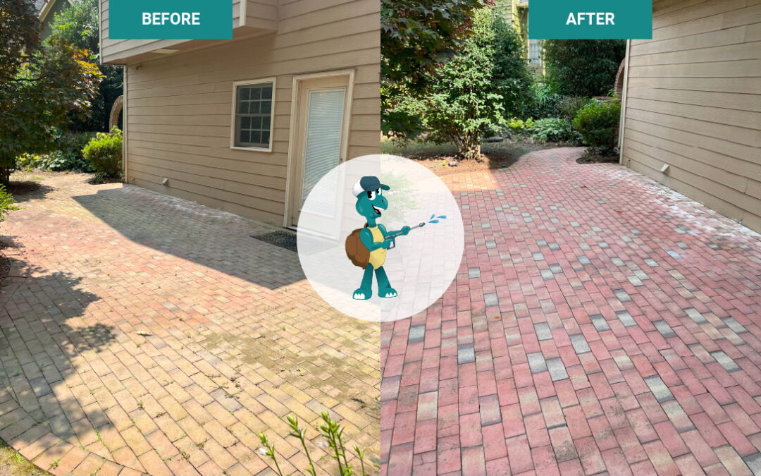 Exterior Pressure Wash & Soft Cleaning – Residential