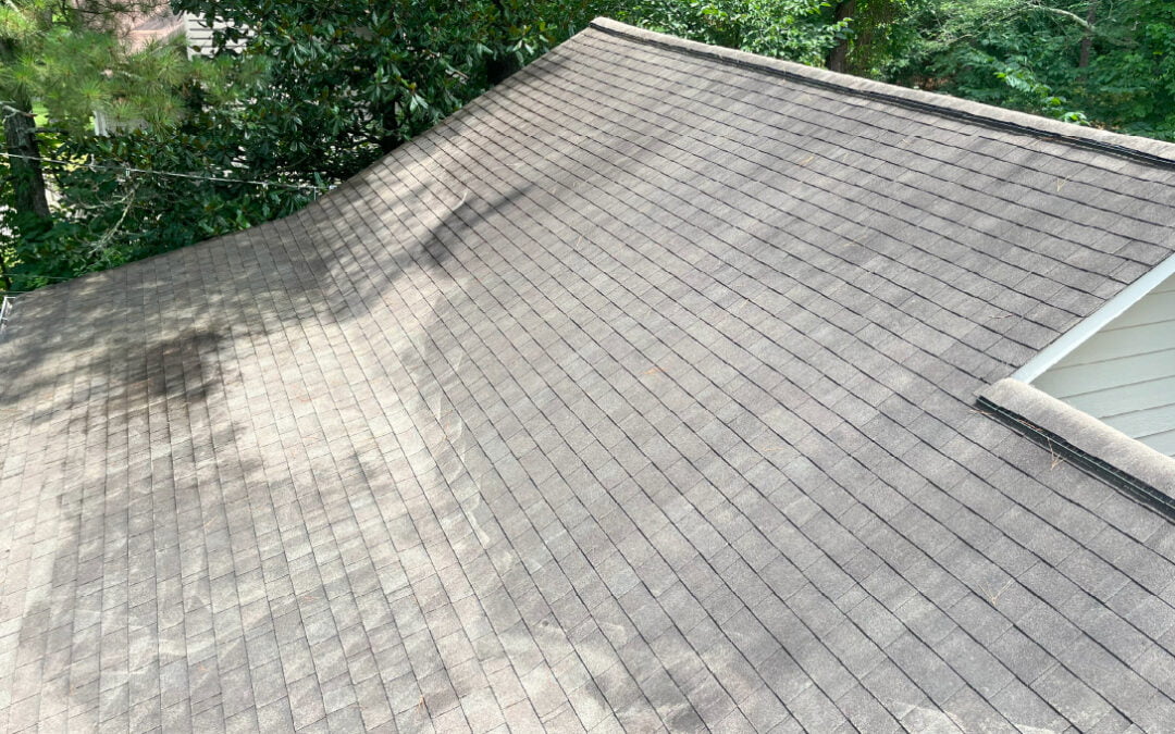 What Causes Black Streaks and Black Stains on My Roof?