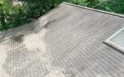 What Causes Black Streaks and Black Stains on My Roof?