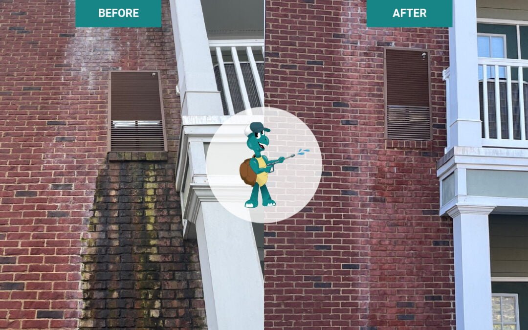 Exterior Pressure Wash – Lillie R. Campbell House