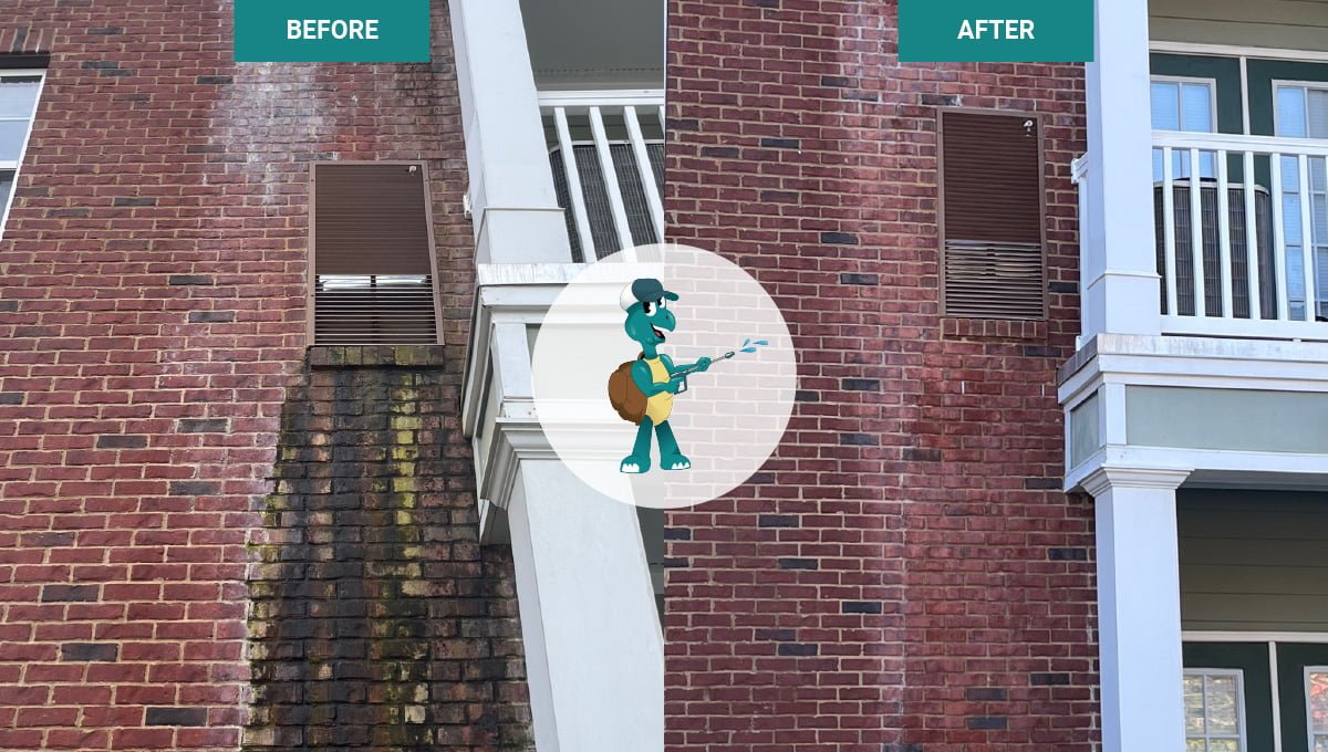 before-after-lillie-campbell-hero elsewhere brewing commercial pressure washing job